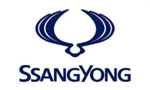 סאנגיונג לוגו