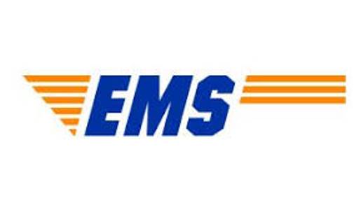 אי אמ אס לוגו EMS