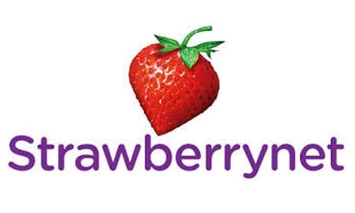 3243 - Strawberrynet - סטרוברינט לוגו